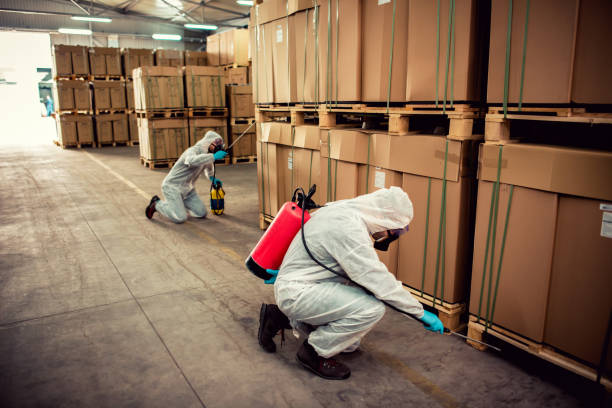 Best Pest Control Near Me  in North Prairie, WI